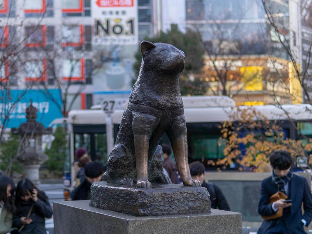 Hosté ubytování illi Tria Shibuya