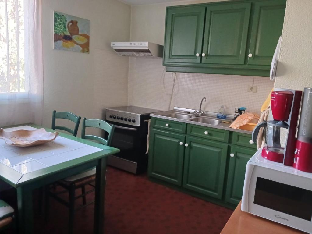 a kitchen with green cabinets and a small table at Appart Rez de Jardin Chez Anne in Vernet-les-Bains