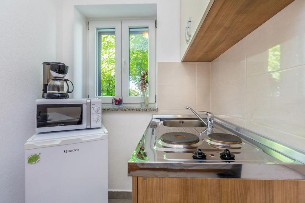 Kuchyňa alebo kuchynka v ubytovaní Studio apartman u kući s bazenom