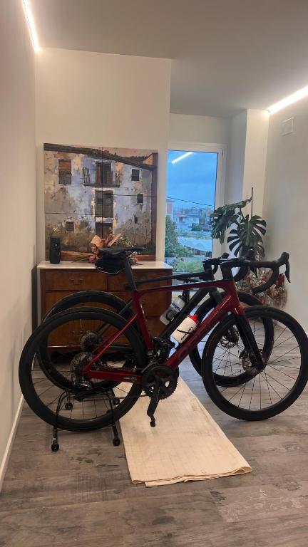 Jazda na bicykli v okolí ubytovania JASALPI único apartamento delante del Lago de Banyoles