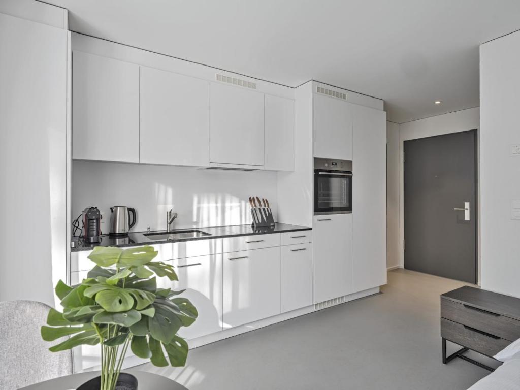 Kuchyň nebo kuchyňský kout v ubytování MOOI Apartments Grenchen