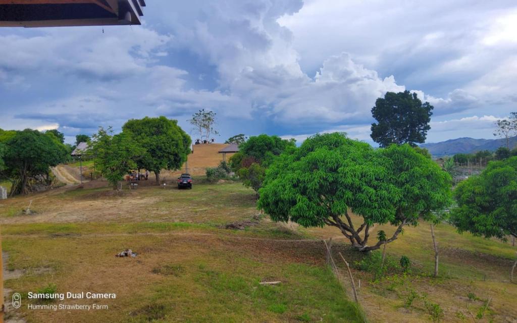 Gallery image of Second Floor Air-conditioned Room on Family Hut Bamboo House in Bagabag