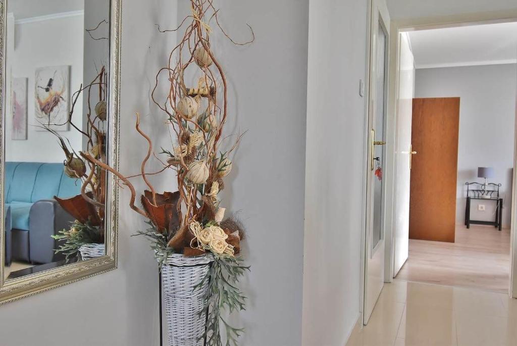 Fotografie z fotogalerie ubytování Apartments Ruzica v destinaci Banjol