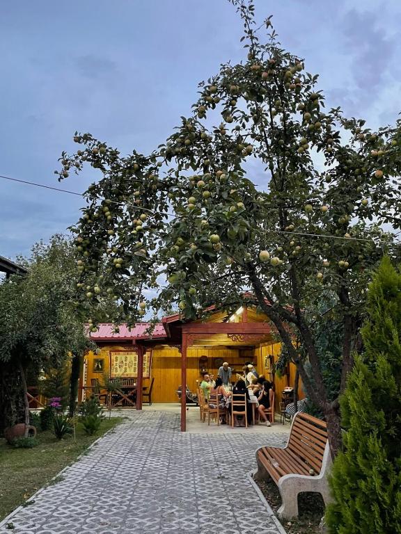 Zahrada ubytování Guesthouse Edena