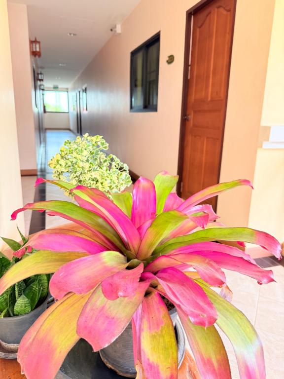 Laph Kham House - Resim 34