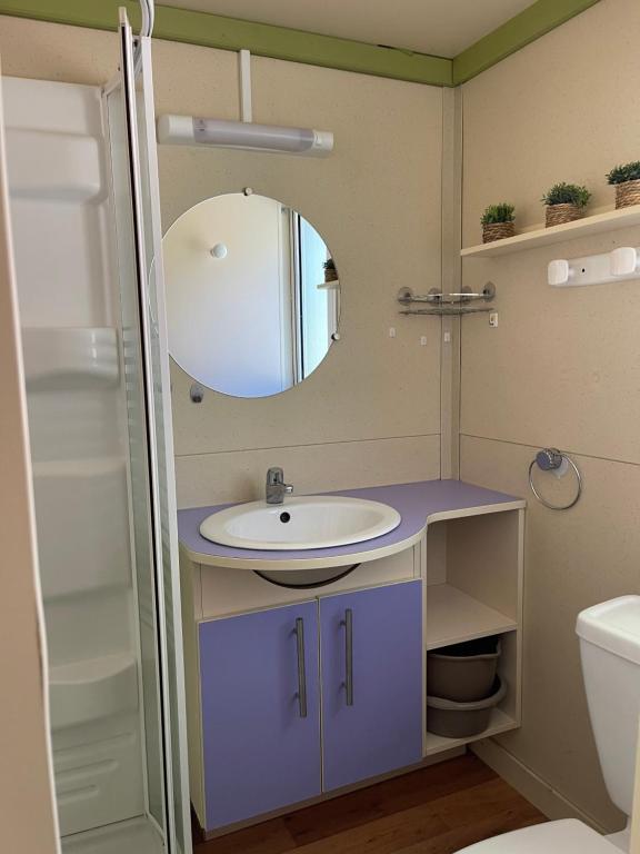une salle de bains avec un lavabo et un miroir dans l'établissement Camping L Eden Road, à Castellane