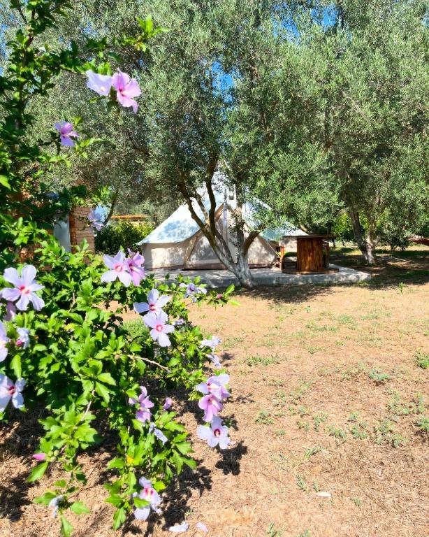 Vonkajšia záhrada v ubytovaní Eco Glamping with Pool between Nafplio and Argos