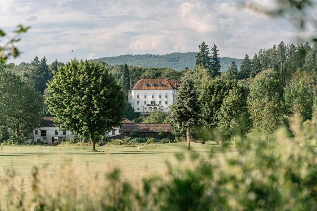 Příroda nedaleko hotelu