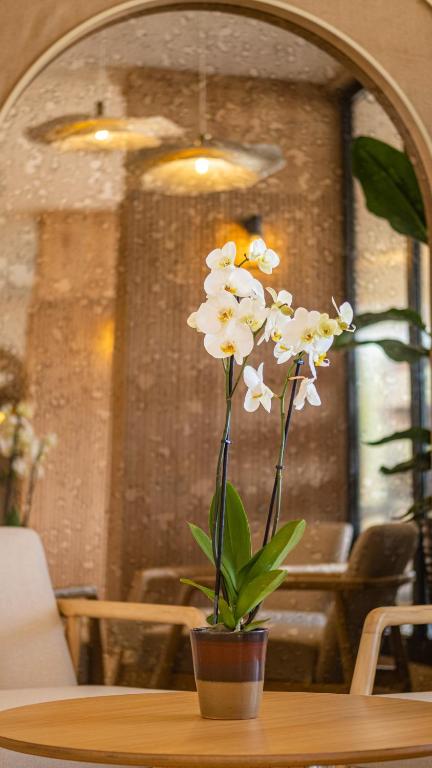 Fotografie z fotogalerie ubytování Heritage by Cimen Hotel v destinaci Alanya