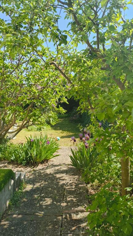 un chemin à travers un jardin planté de fleurs et d'arbres dans l'établissement Maison Strasbourg 7 chambres, à Ostwald