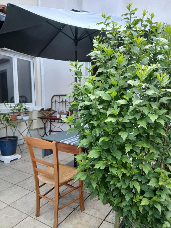 Jardin de l'établissement Chez Solange et Paul