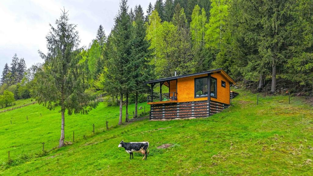Peisaj natural din apropierea acestui apartament