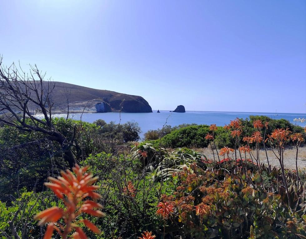 a view of the beach and the ocean at Milos Pollonia Apartment in Mesochórion