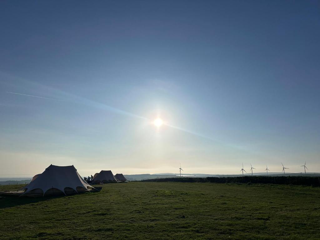 a field with tents and windmills in the background at Springfield glamping in Marwood