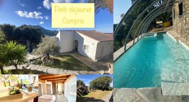 un collage de photos d'une piscine dans l'établissement Chambres d’hôtes A Casa Di Marigaby, à Barbaggio