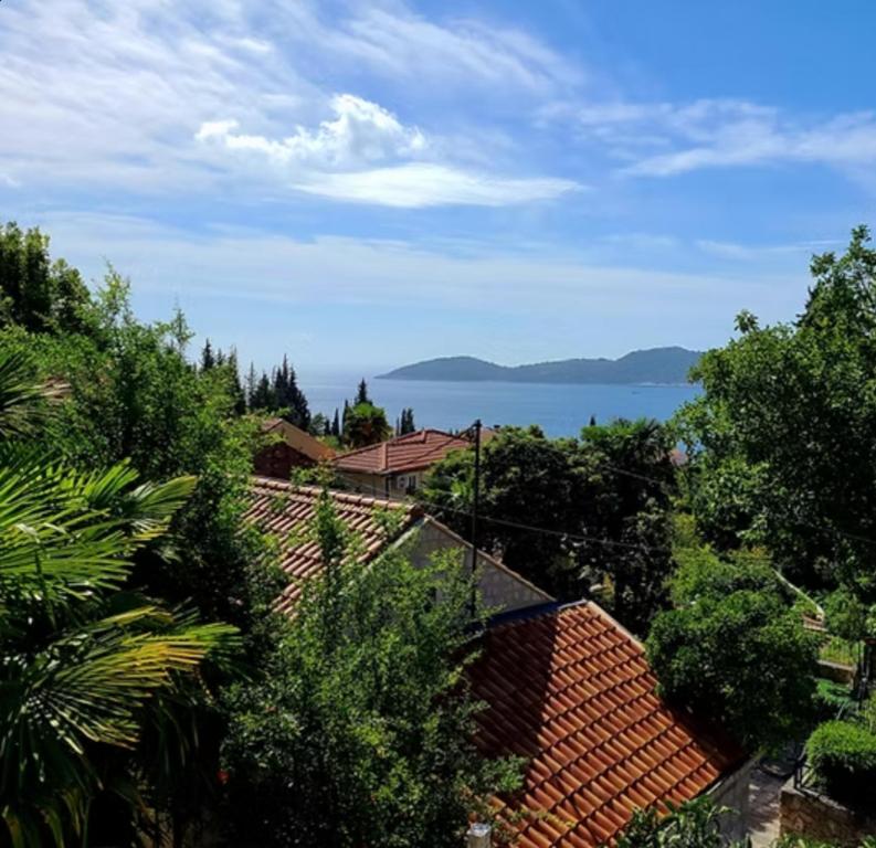 Blue Horizon Bird s eye View