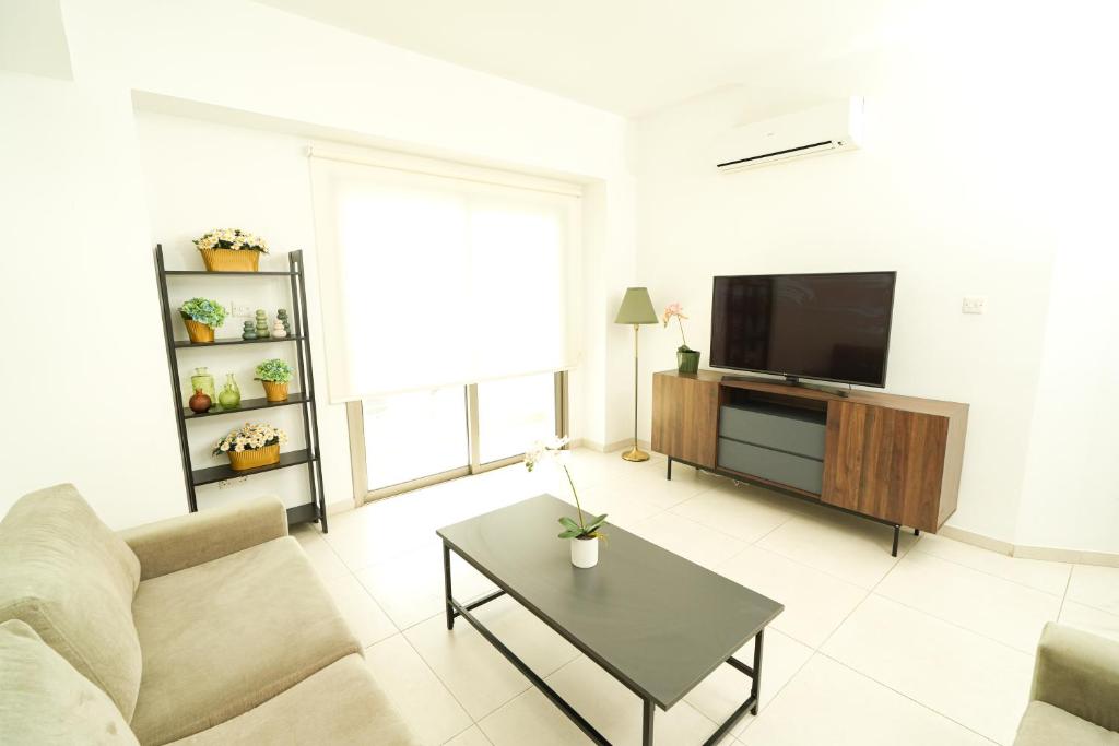 TV a/nebo společenská místnost v ubytování Halcyon Central Apartment