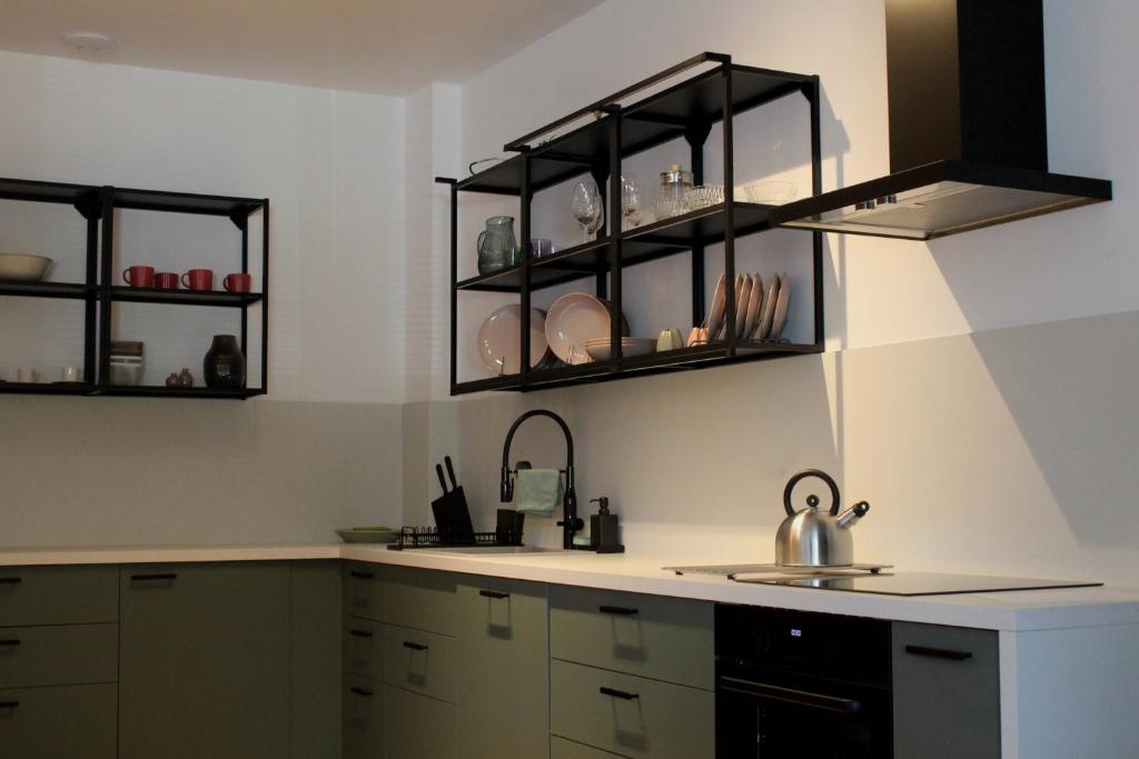 Kuchyň nebo kuchyňský kout v ubytování Apartmány Abacie