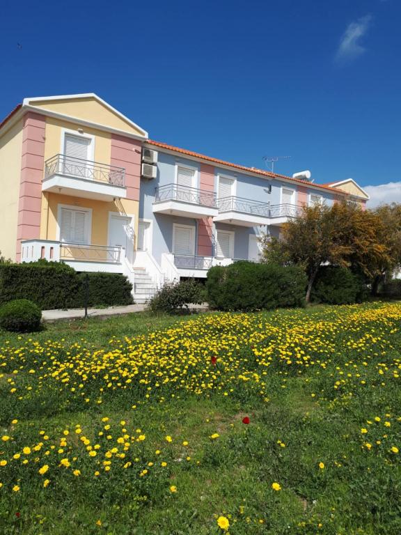a building with a field of flowers in front of it at Argo Apartments in Vatera