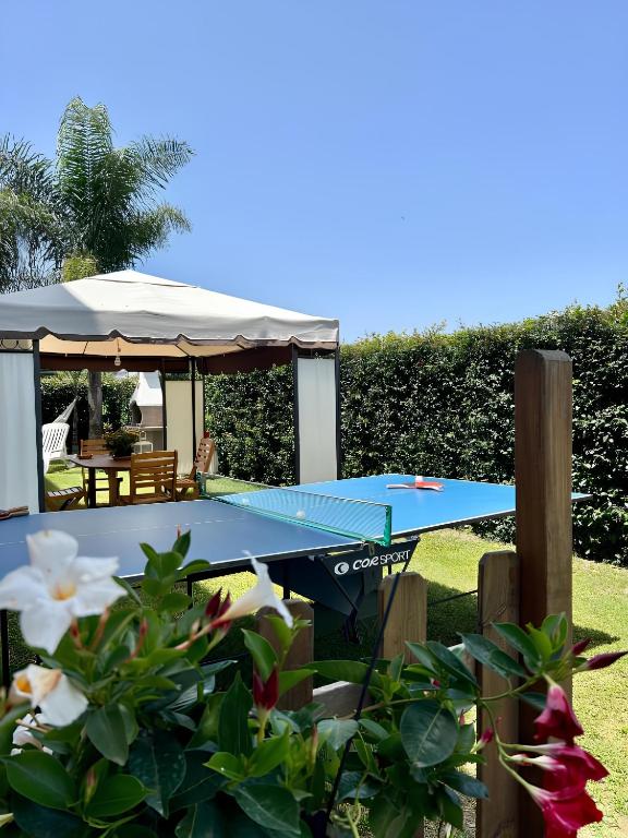 a blue ping pong table in a yard with flowers at Alto Giardino in Zambrone