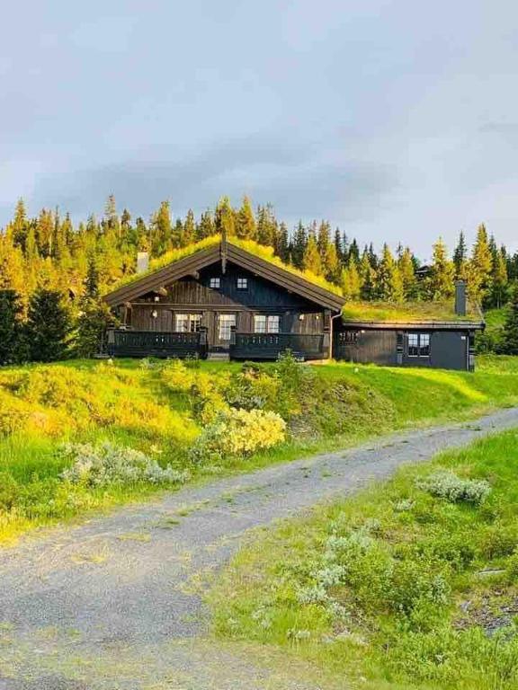 a large house with a grass roof on a field at Trollslottet på Skeikampen in Aulstad