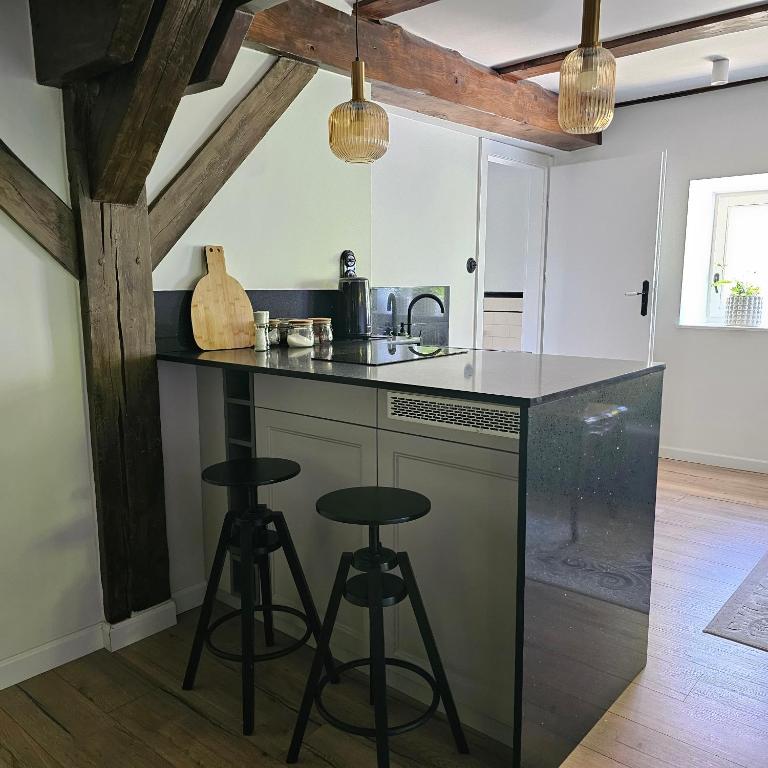 Kuchyň nebo kuchyňský kout v ubytování Krzywa Apartamenty