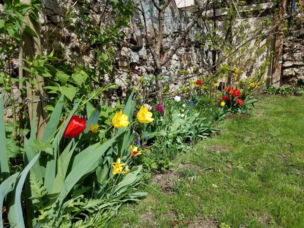 Chez Maria – photo 24