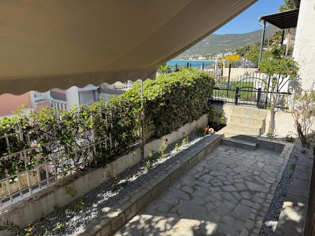 Zahrada ubytování Villa Harmony