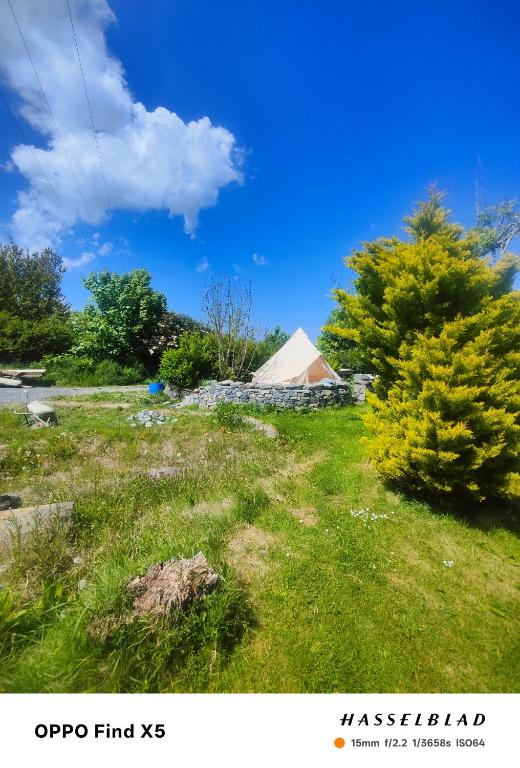 a yurt in a field with grass and trees at Bohemian Bell Tent in Kinvara County Galway in Kinvara
