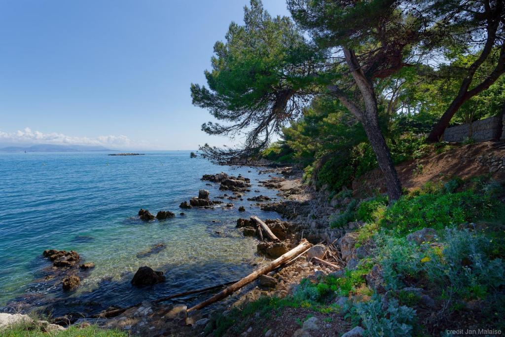 a rocky shoreline with trees and the water at La Garoupe-Gardiole in Antibes