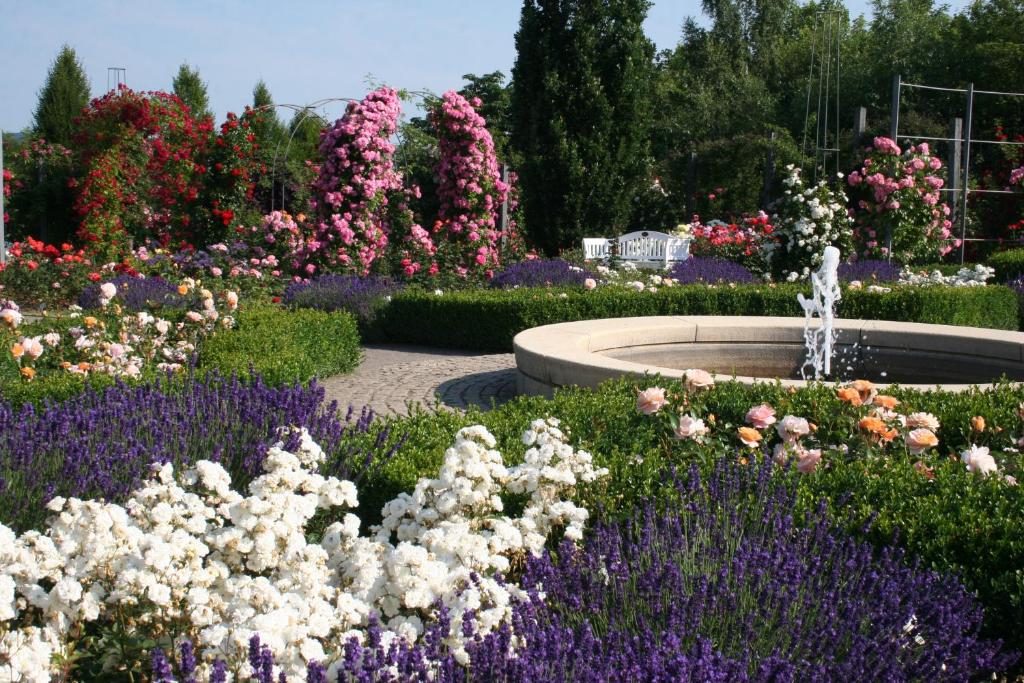 Zahrada ubytování Hotel Zum Bürgergarten