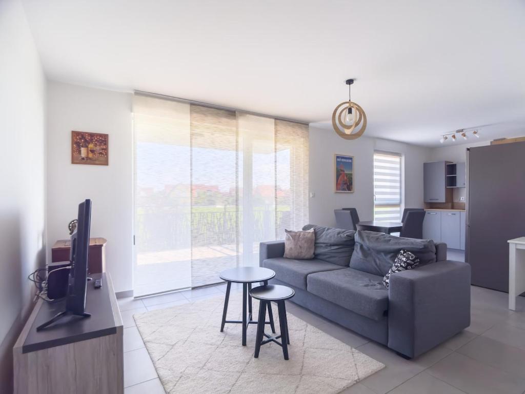 ein Wohnzimmer mit Couch und Tisch in der Unterkunft Parking privé - Accès PMR - Terrasse vue châteaux - 2 lits in Châtenois