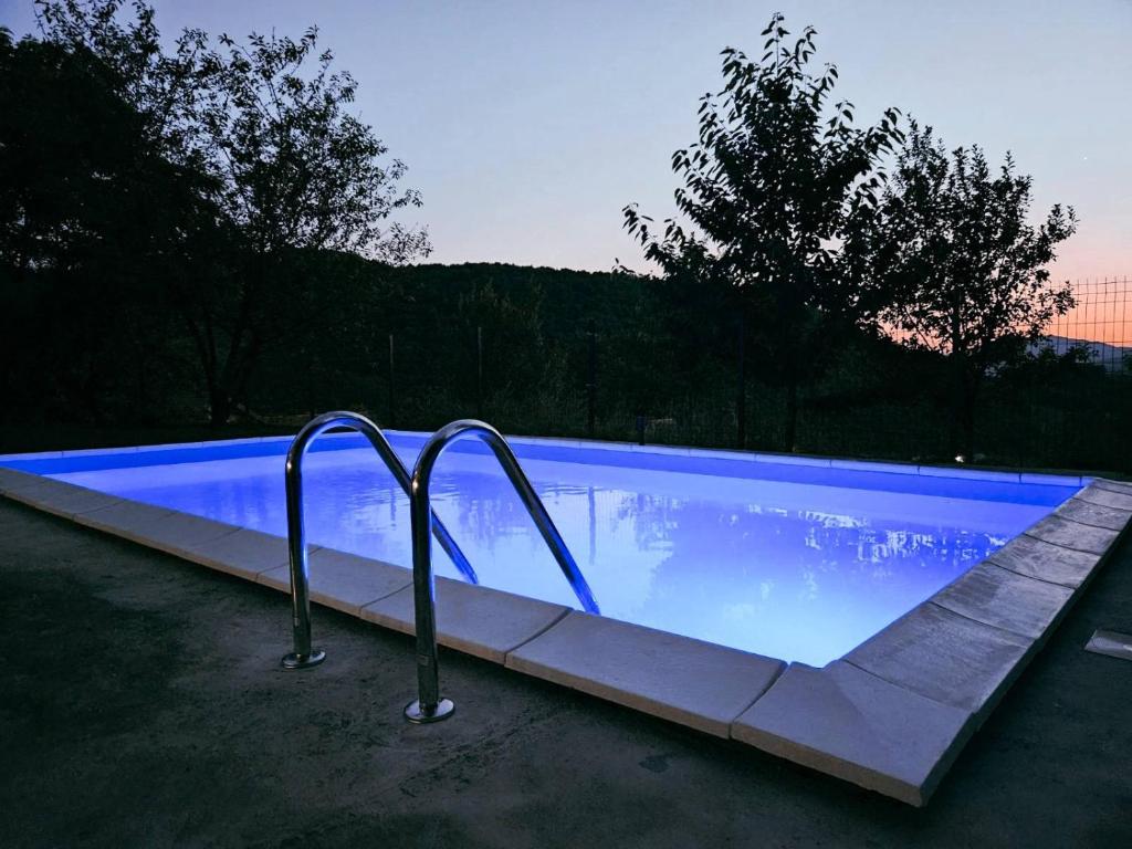 a swimming pool with two metal rails in it at Villa Nature Sarajevo in Sarajevo