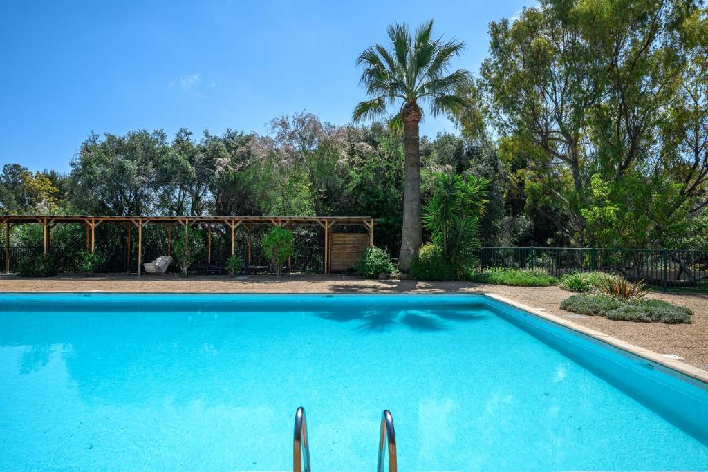 une piscine dans une cour avec un palmier dans l'établissement Nice Fabron, terrasse & piscine dans résidence, à Nice