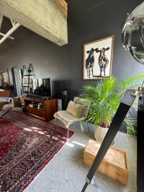 a living room with a couch and a plant at Helder Haven Cottage in Somerset West