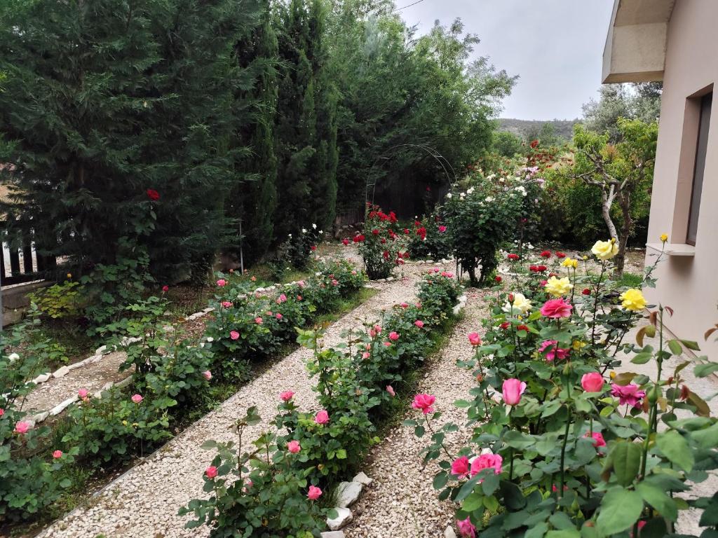Zahrada ubytování Roses Villa