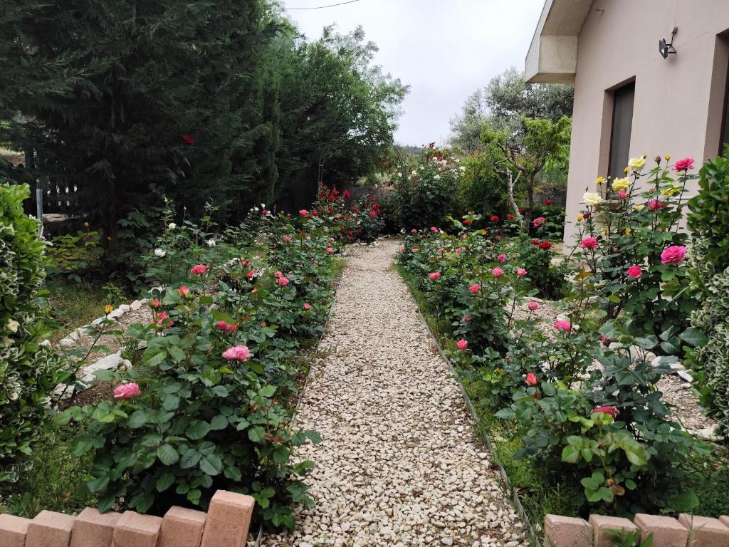 Zahrada ubytování Roses Villa