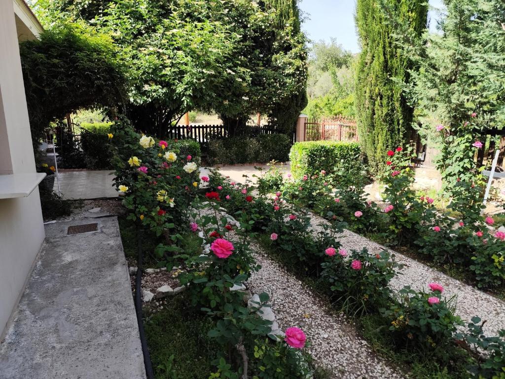 Zahrada ubytování Roses Villa
