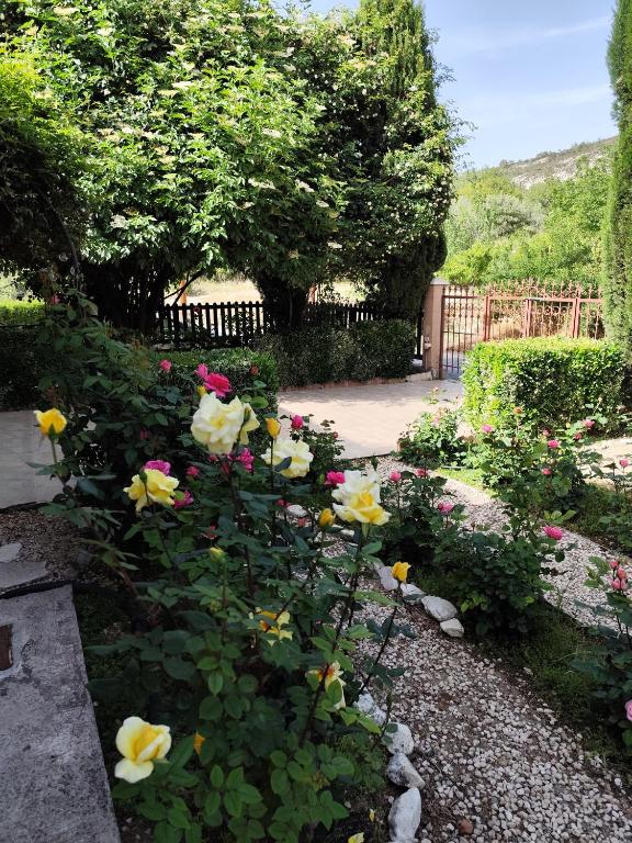 Zahrada ubytování Roses Villa