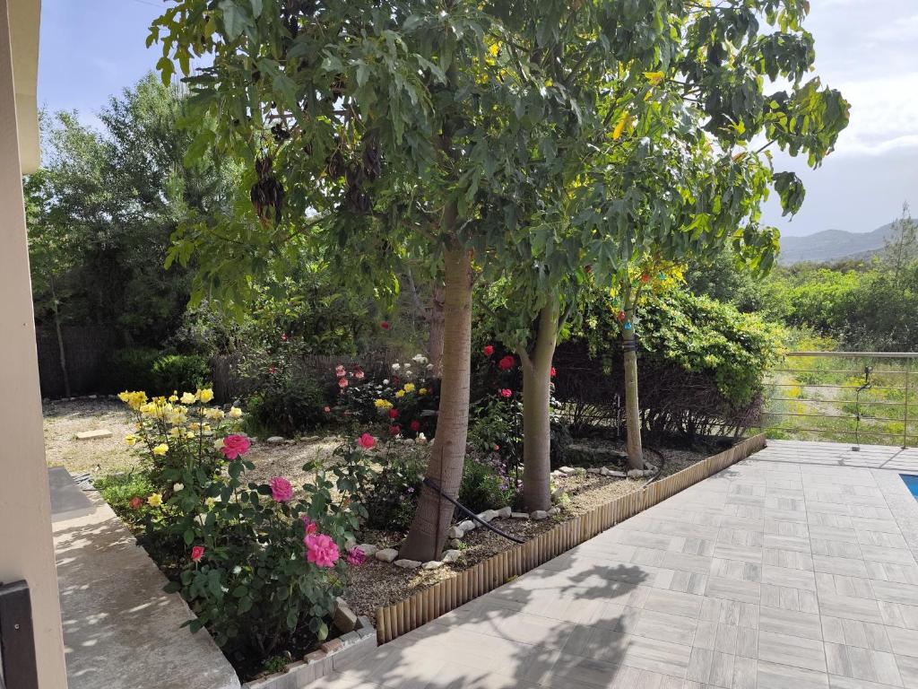 Zahrada ubytování Roses Villa
