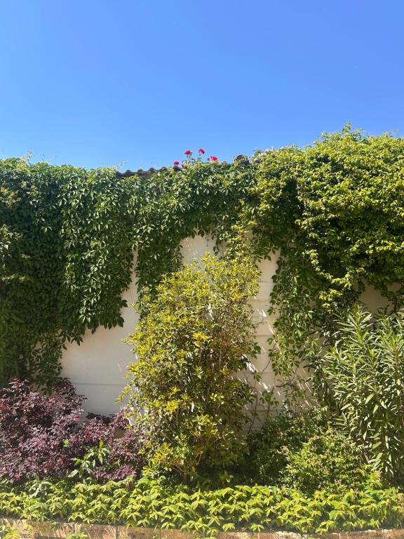 Residenza La Corte - 