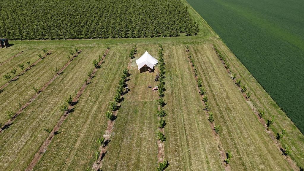 Příroda nedaleko luxury tent