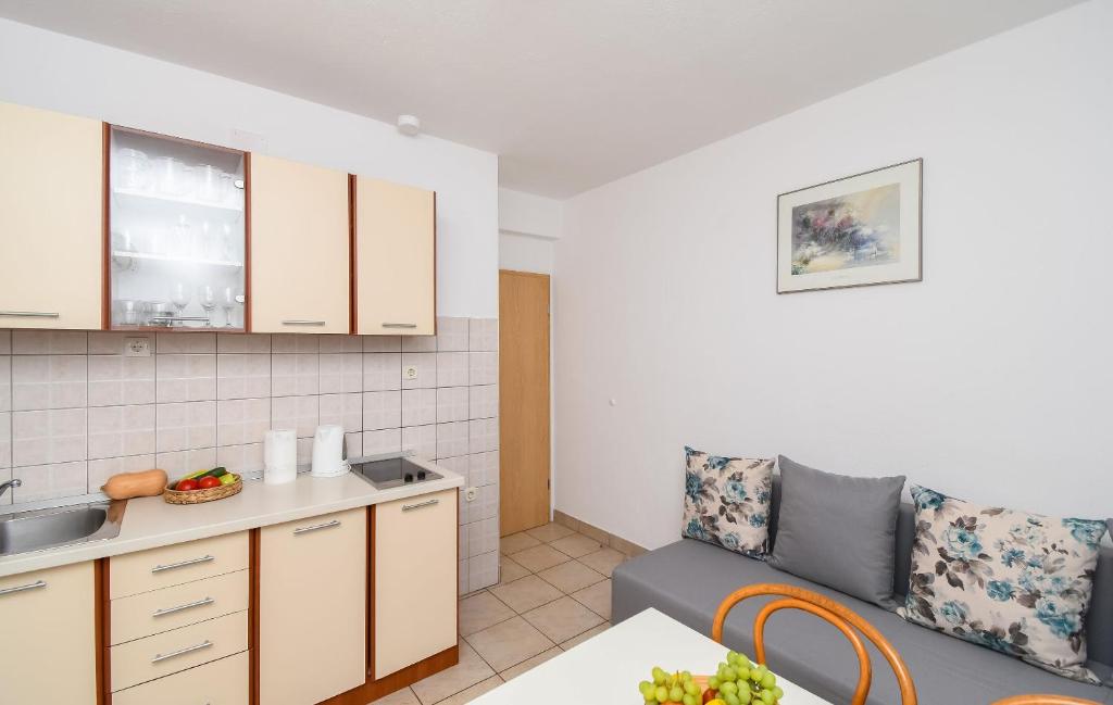 Kuchyň nebo kuchyňský kout v ubytování Apartments JoviZe