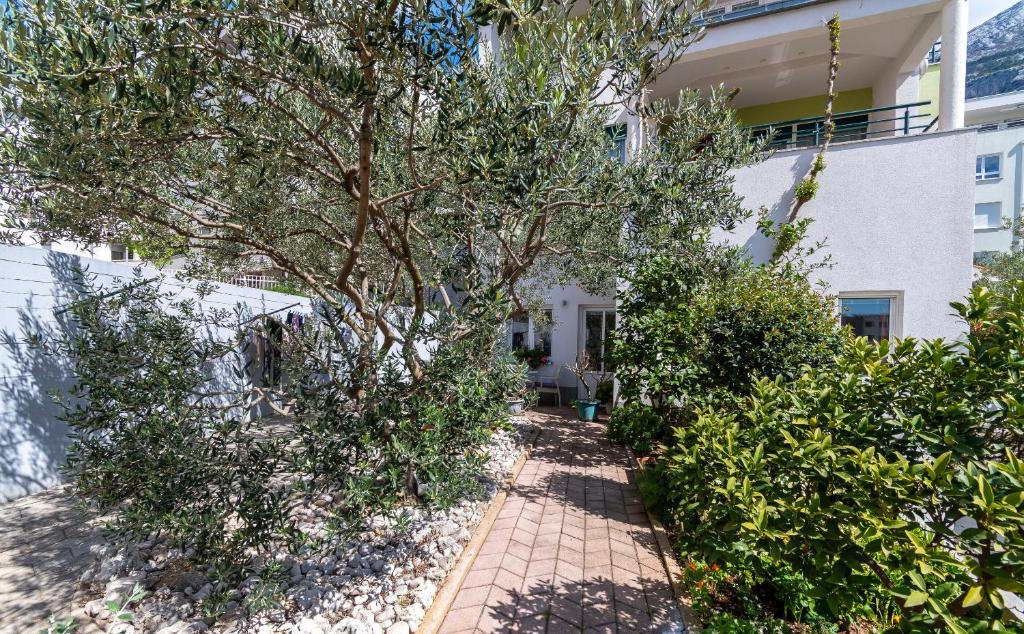 Zahrada ubytování Apartments JoviZe