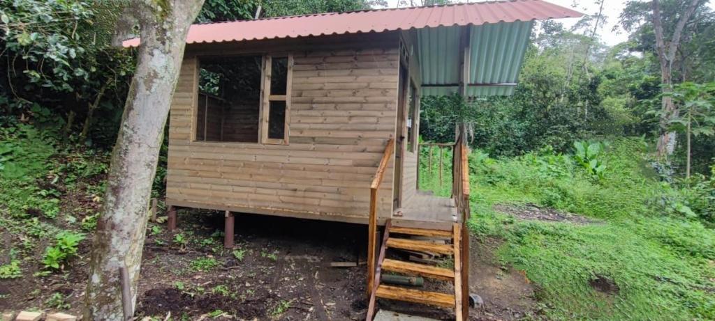 a tiny house with a ladder in a forest at Terra verde in La Mesa