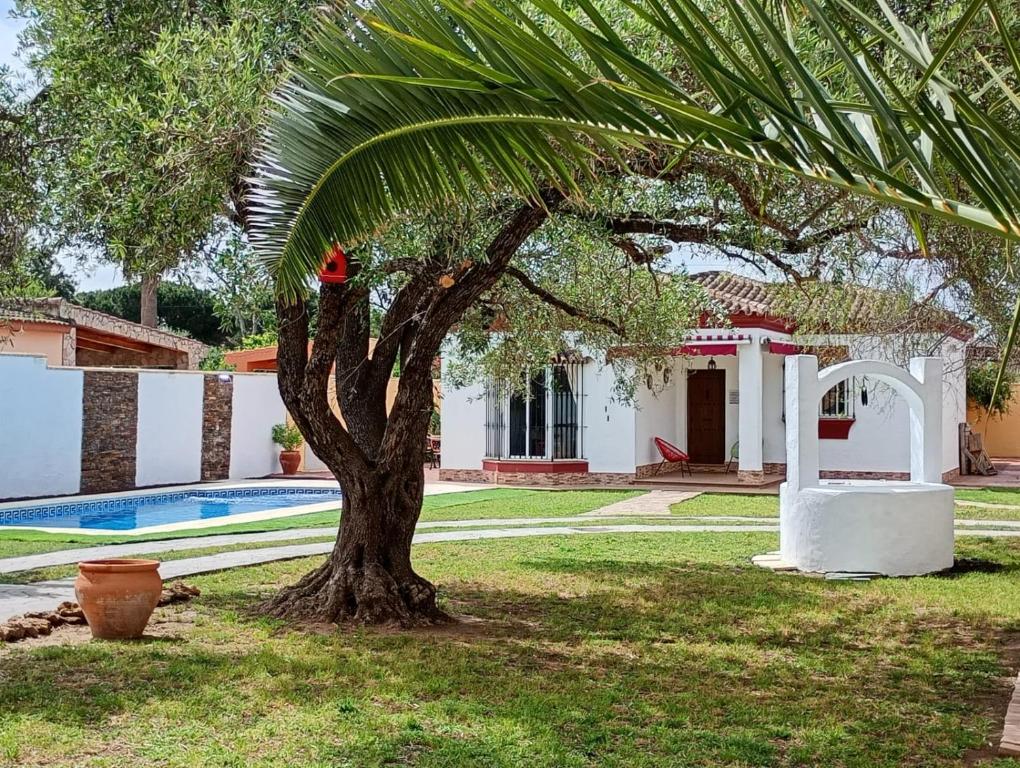 Vonkajšia záhrada v ubytovaní Chalet Pura Vida