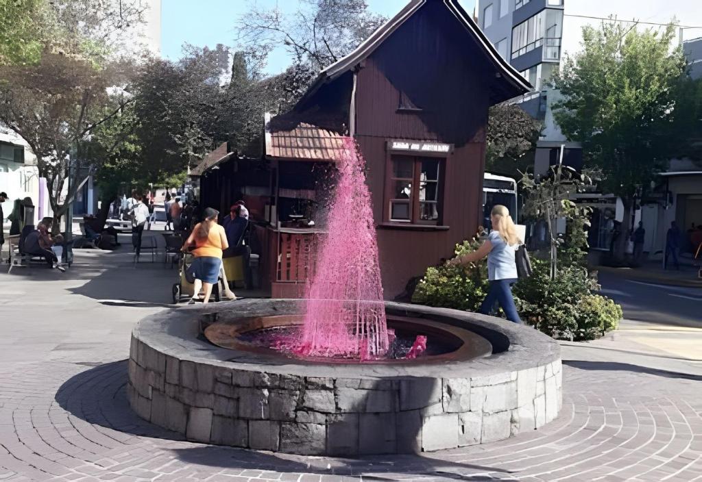 a pink fountain in the middle of a street at Apto central na Via Del Vino in Bento Gonçalves