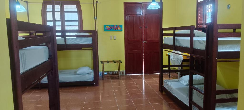 Una cama o camas en una habitación de Jacque's Beachside Hostel
