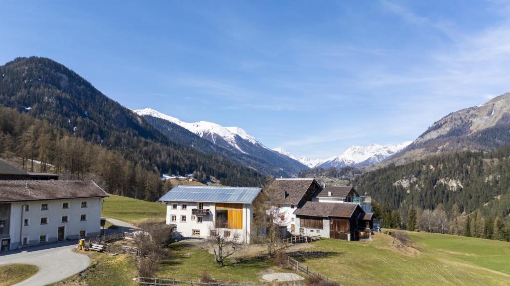 Příroda nedaleko apartmánu