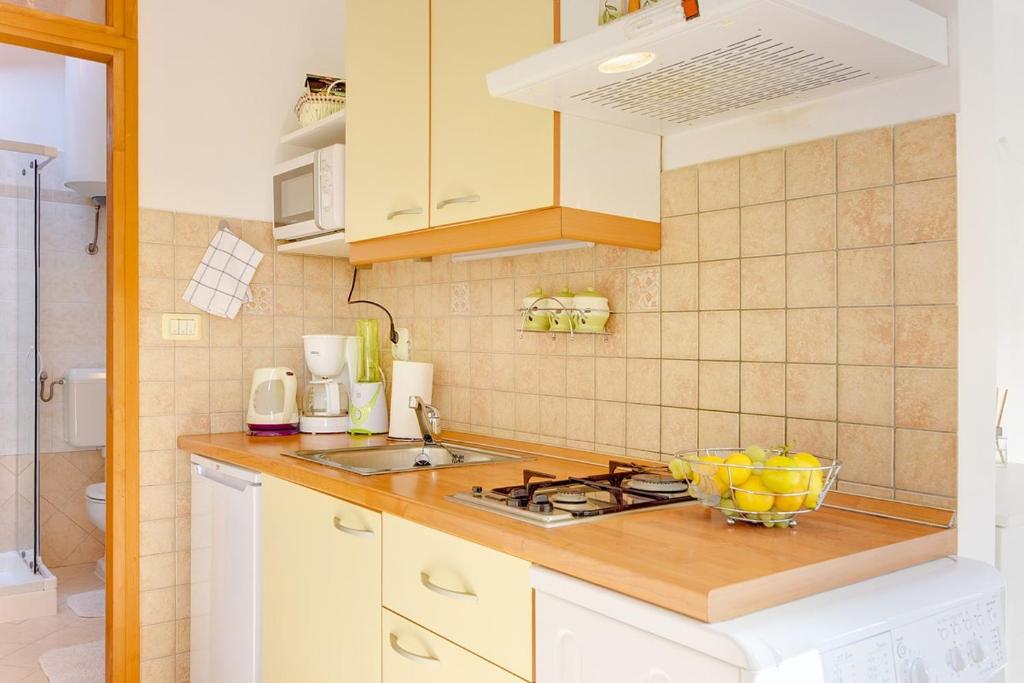 Kuchyň nebo kuchyňský kout v ubytování Holiday Home Batel